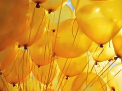 우나 히토하 / XX / 포트 마피아