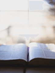 티알 키퍼 정리용 시리즈