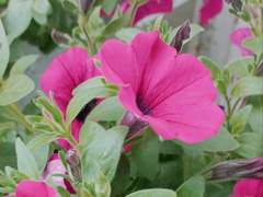 오늘도 허당 가이드는 고민이 많다