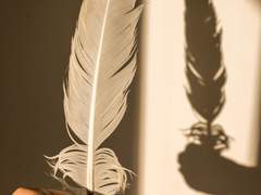 새는 알에서 나오고자 투쟁한다.