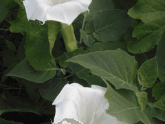 페어 파일에 휴식을.