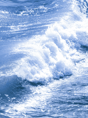 어느날 이상한 세계로 떨어졌다?!