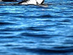 미묘하며 형태없는