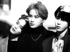 ※긴급※ 연재중단과 페로몬 전쟁 시즌2