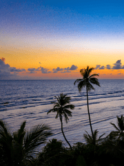 일요일에뭐라도올리기 