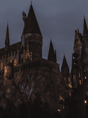 그날 효그와트에서 일어난 일은 아무도 모른다