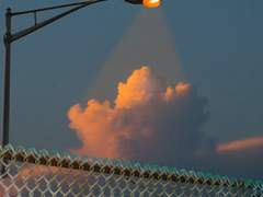 아에바 고우 / XY / 무장탐정사