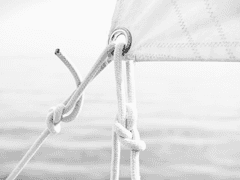 무채색이었던 것