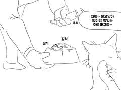 트리아야 형이야