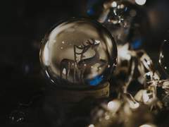 스노우볼의 유성우