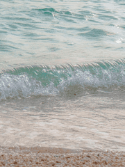 물망초가 피어날 때