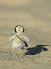 엔시티 나페스 추천