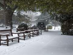 커미션 안내 사항 (글)