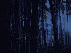 이 숲에 간을 파먹는 과물이 산대!