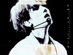 [찬백] '꽃', 그리고 홍시.