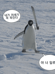 美친 여자들의 아름다운 대학 일지