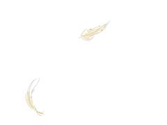 이 이야기의 끝은