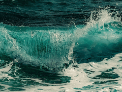 반월애 (月愛) 감염로그