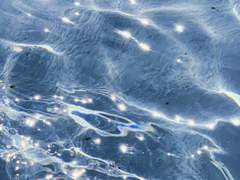 [ 淸月 : 맑고 밝은 달 ]