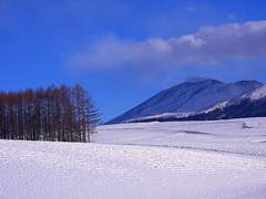 Once Upon a December