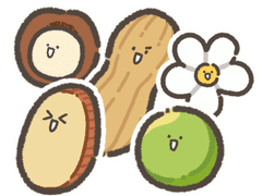 (무료)굿노트 스티커 - 견과류 친구들