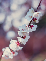 화산귀환 단편글