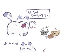 브이틱 위주 고영모음(1)