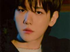 엑소 백현 점성술 애정운 결혼 해석