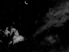 잃어버린 가이드 A