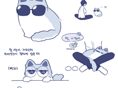 브이틱+테스타+건우+큰달 고양이 모음(2)