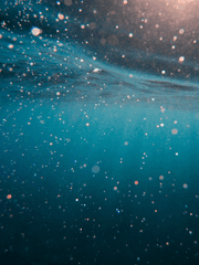 물거품 찌르지 마세요 터져요