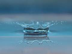 돈이 없으면 당장 굴러라!