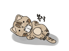 바비커 러닝후기