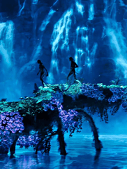 보이지 않지만 당신을 봅니다.