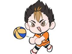 [하이큐!!] 니시노야 유