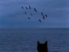 우리는 서로의 상실을 사랑해 후기