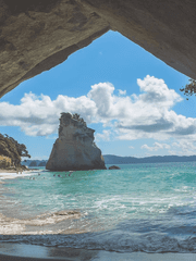 그들의 세상이던 그녀가 돌아왔다. 