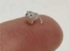 엔시티 홍일점 김여주 SSUL