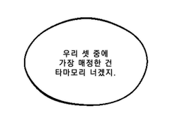 타마모리 너겠지.