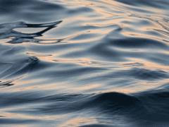 너를 위한 답장