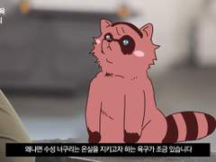 수성너구리 시리즈