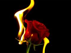 사련 (思戀) 03. 연적 戀敵