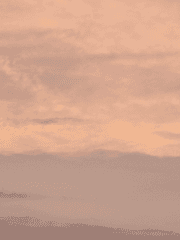 린이사 소꼽친구 if의 외전