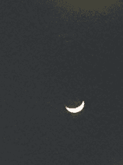 유리창 너머의 세계