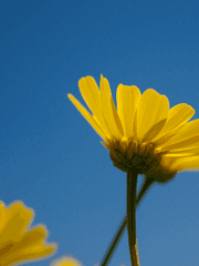 그렇게 우리는 죽었다