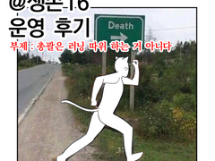 생존 2기 운영 후기