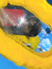 단지 널 사랑해