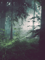 끝나지않는 세계