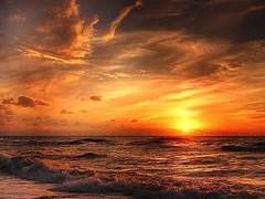 티티, 그리고 틸.