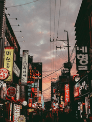 천무이일 백도하